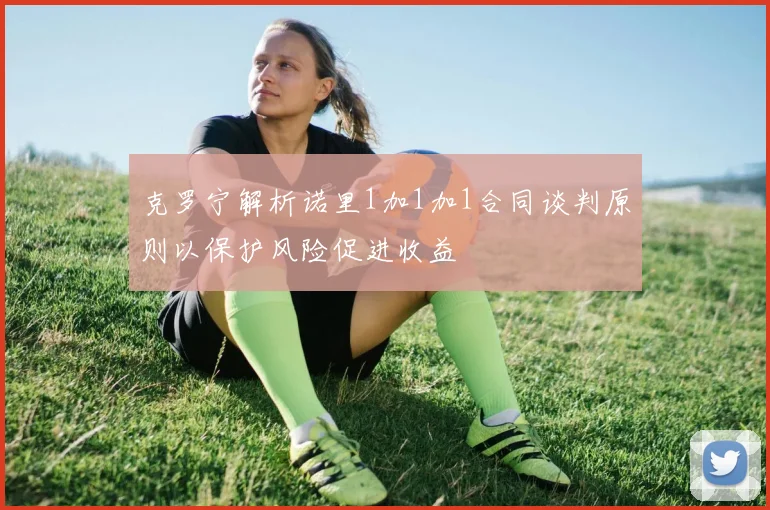克罗宁解析诺里1加1加1合同谈判原则以保护风险促进收益
