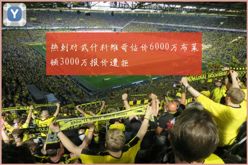 热刺对武什科维奇估价6000万布莱顿3000万报价遭拒
