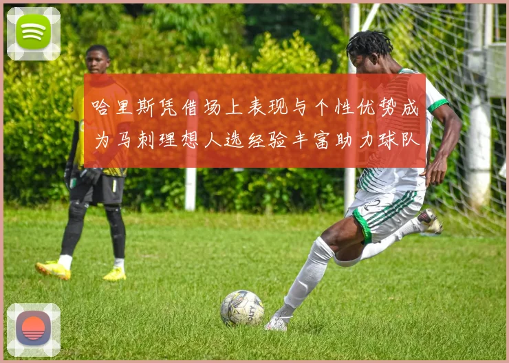 哈里斯凭借场上表现与个性优势成为马刺理想人选经验丰富助力球队发展